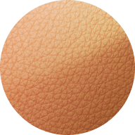 Saddle color